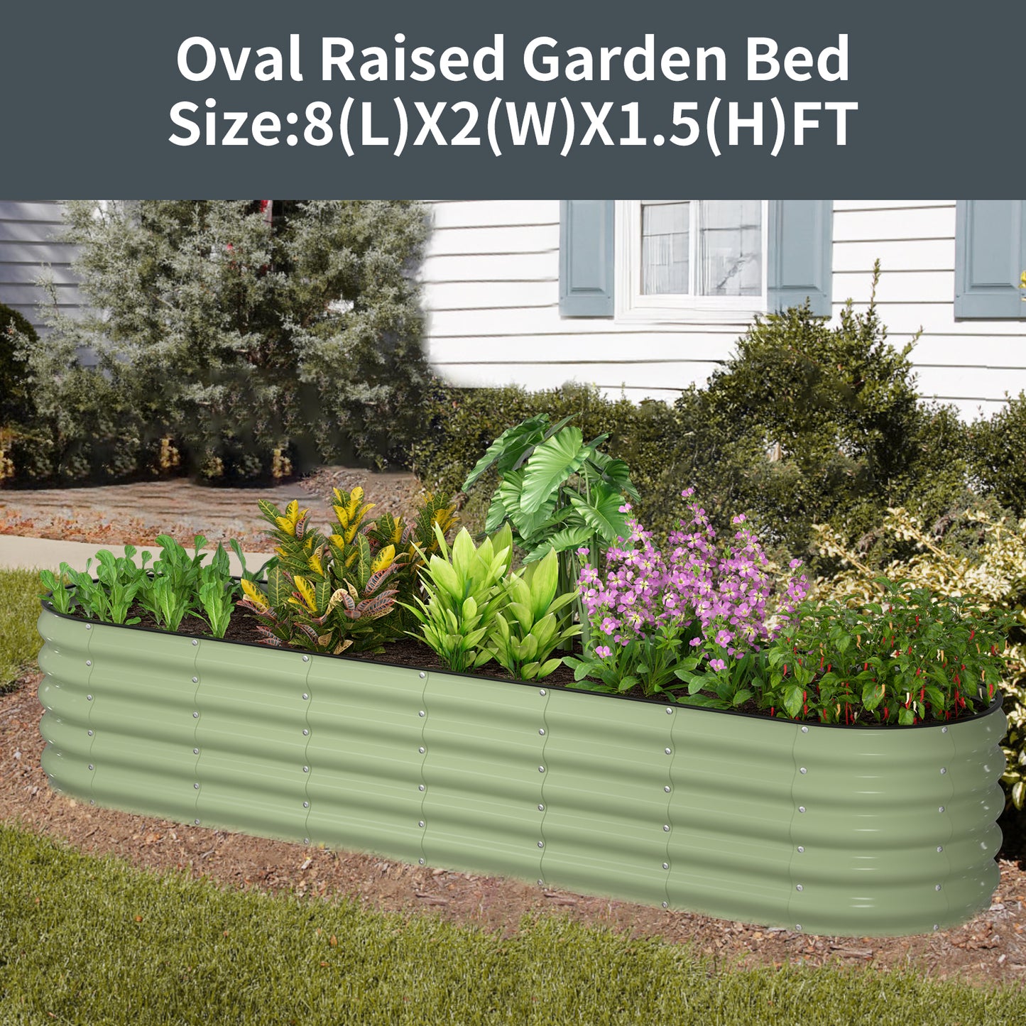 Raised Garden Bed Kit(Fruit Green, 8×2×1.5FT )