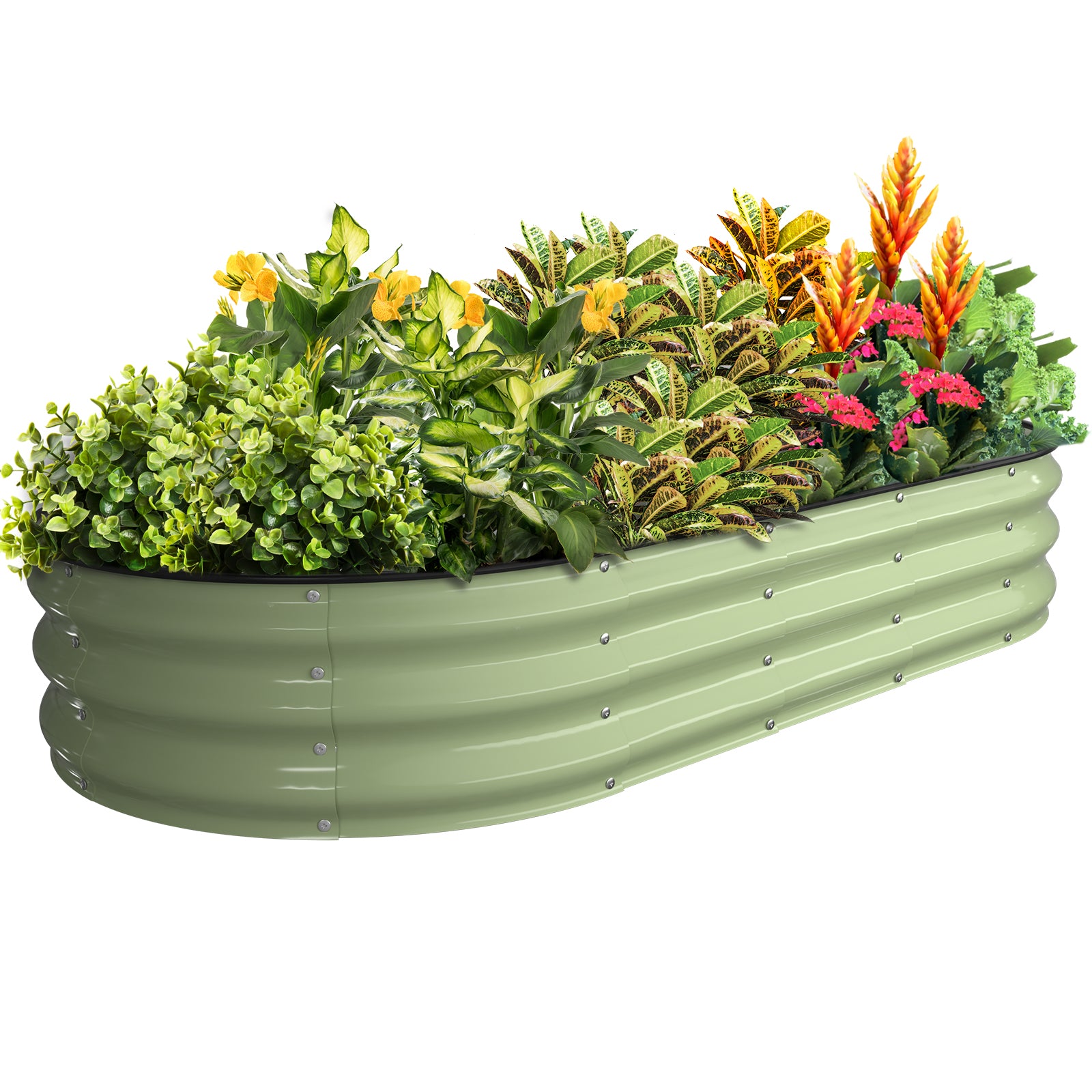 Fruit Green 6x3x1 ft oval galvanized steel raised garden bed filled with plants, metal planter for outdoor vegetable gardening
