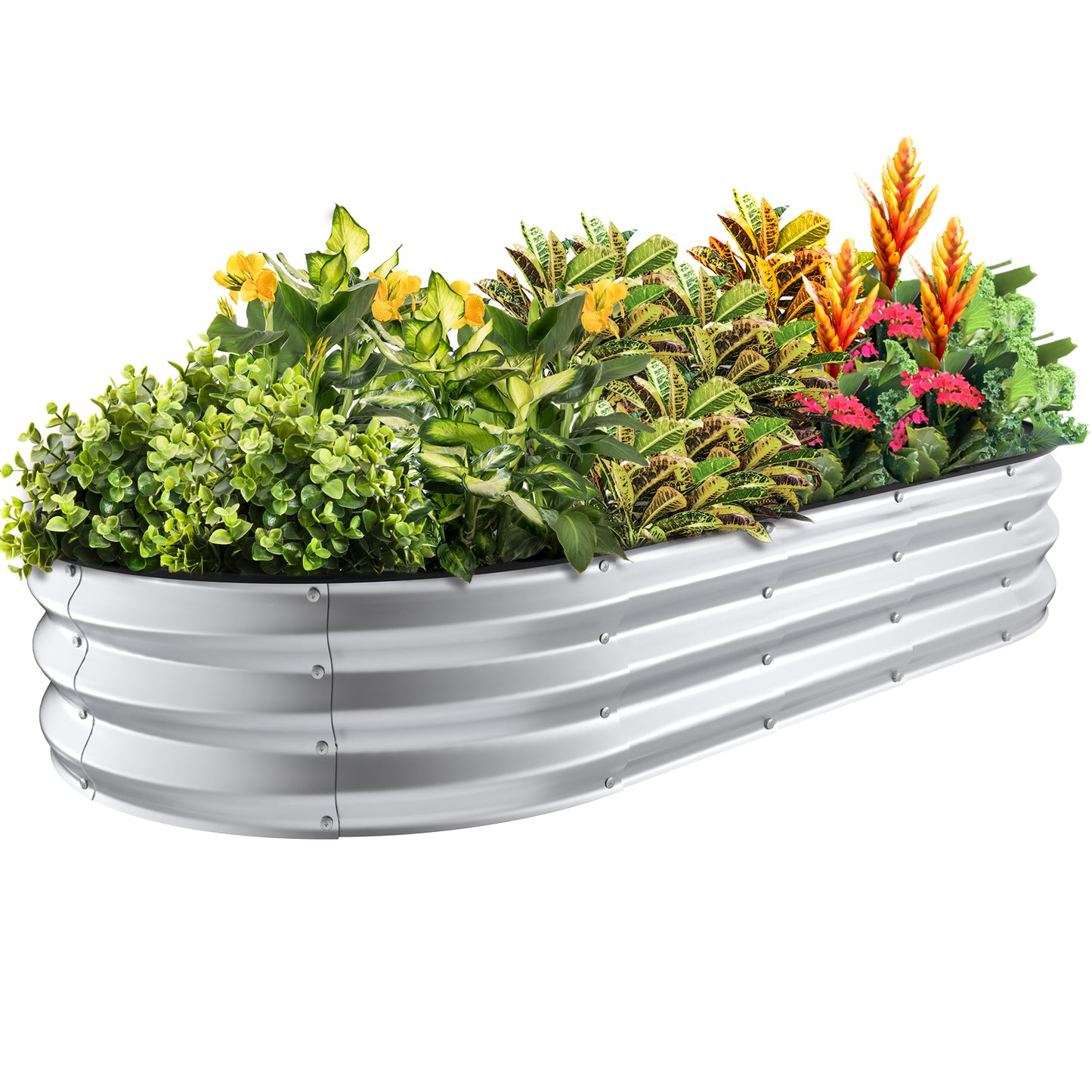 Silver 6x3x1 ft oval galvanized steel raised garden bed planted with vegetables and flowers, metal planter for outdoor gardening