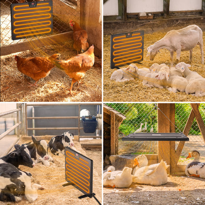 Chicken Coop Heater