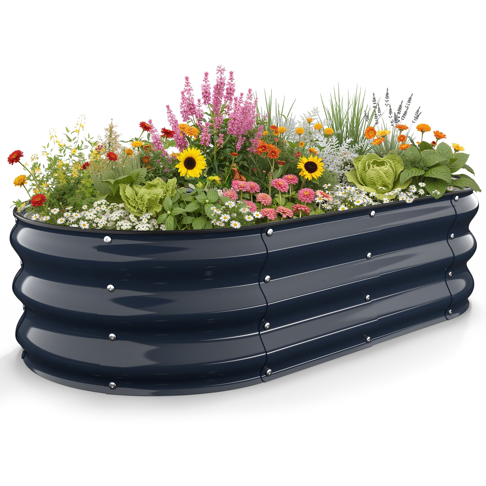 Midnight blue 4x2x1 ft galvanized steel raised garden bed planted with flowers and herbs, oval metal planter for outdoor garden spaces