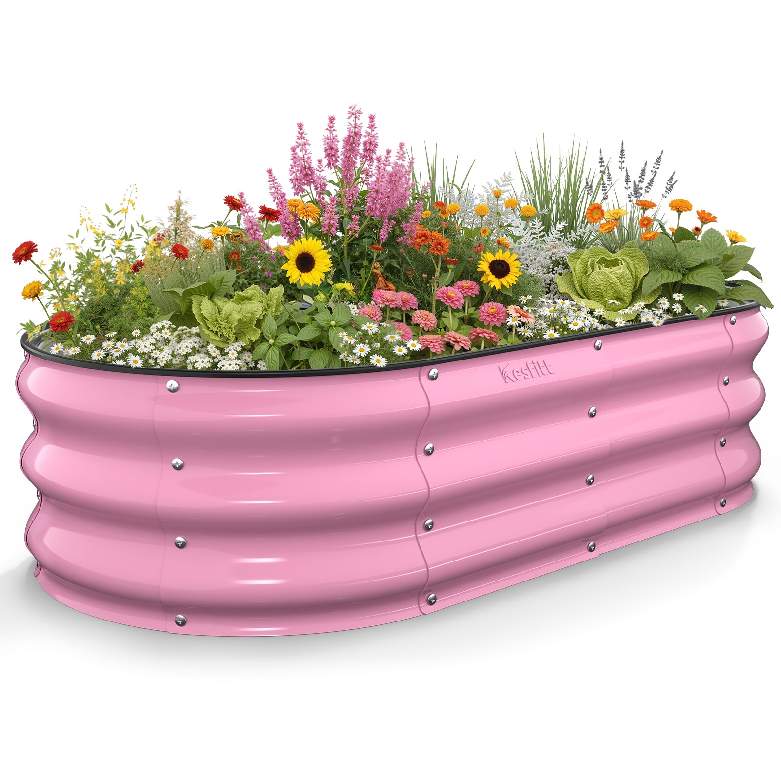 Blushing pink 4x2x1 ft galvanized steel raised garden bed filled with flowers and plants, oval metal planter for outdoor vegetable and herb gardening