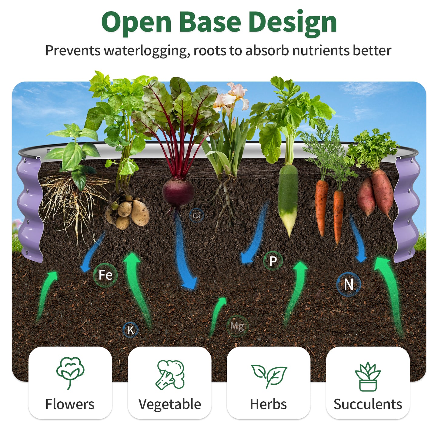 Raised Garden Bed  ( Lavender Purple, 4x2x1 FT)