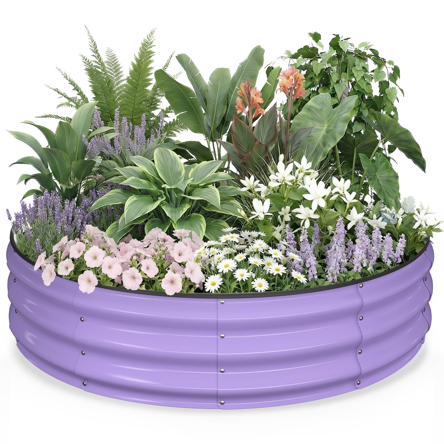 Lavender purple 4x4x1 ft round galvanized steel raised garden bed planted with flowers and greenery, circular metal planter for outdoor garden use
