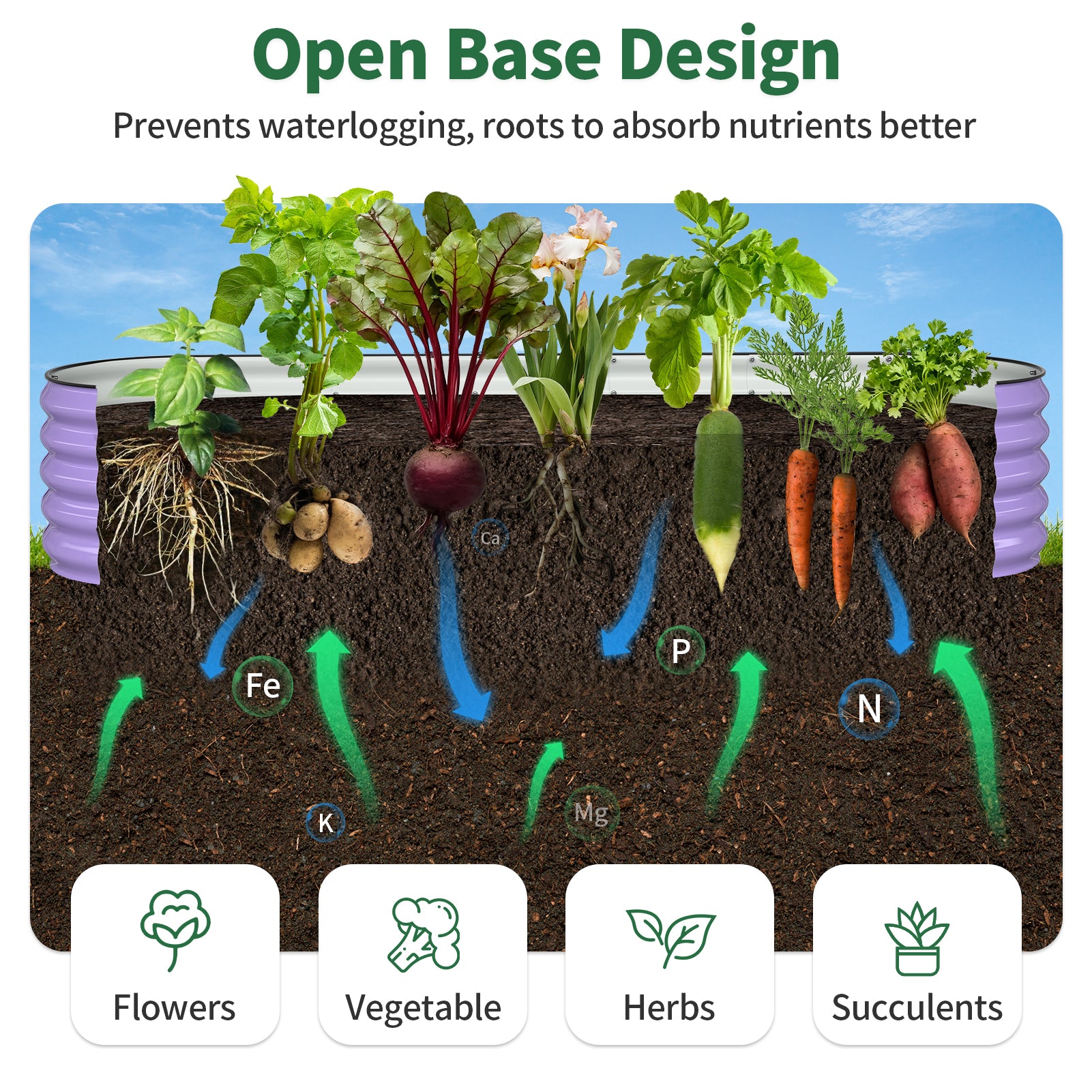 Diagram of a garden bed with plants and soil layers, showing how different plants benefit from an open base design.