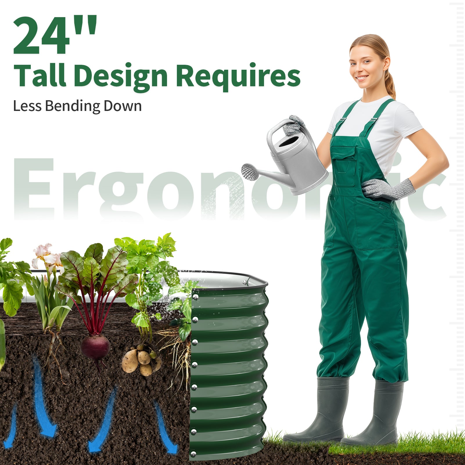 24 inch deep garden bed allowing comfortable planting without bending while supporting deep root growth